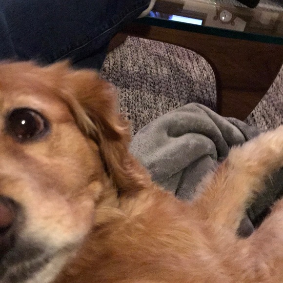 Meet your Posher, Linda - Picture 1 of 1